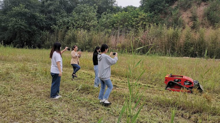 China lawn weed control with best price for sale buy online