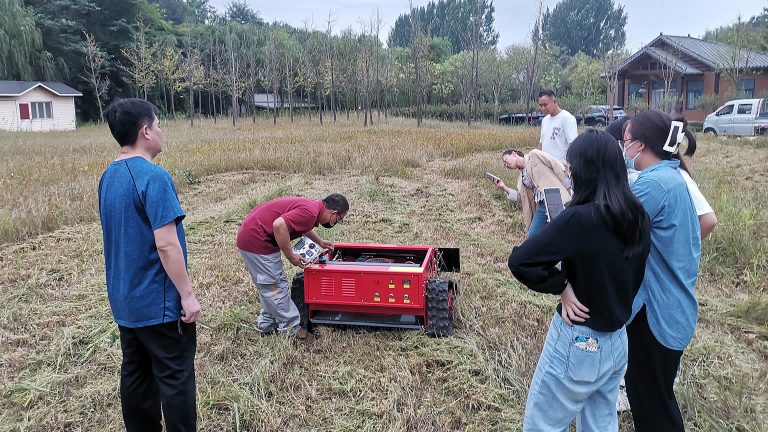 affordable low price radio controlled brush mower for sale