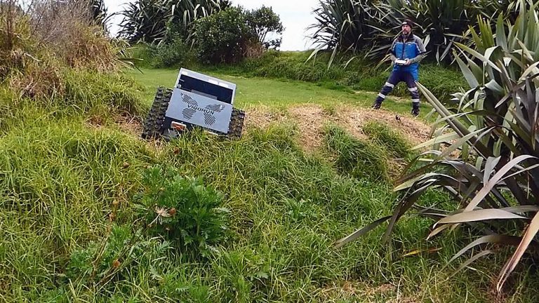 Feedback on grass mowing in New Zealand after ten consecutive days of rain