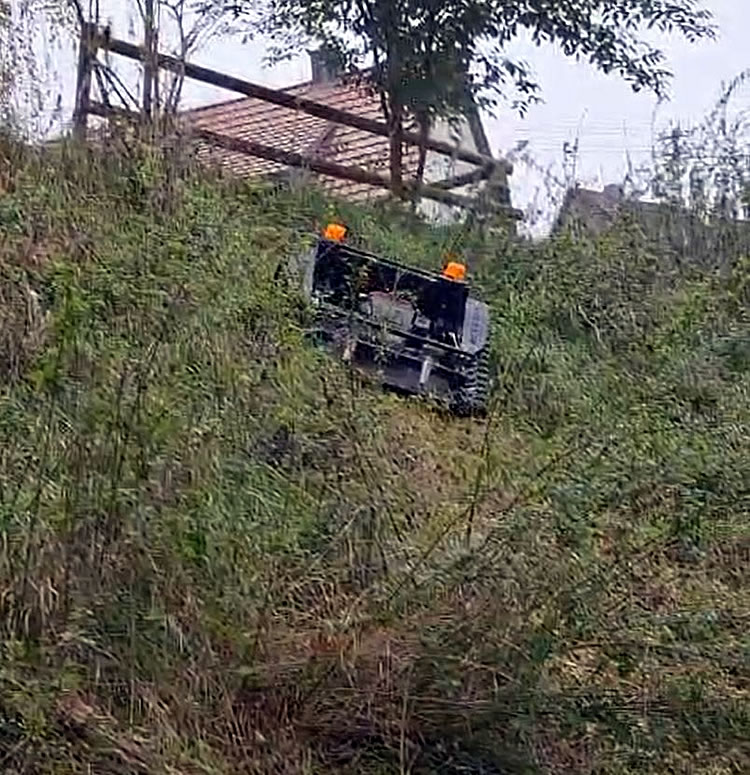 Creative German Customer Shares One-Year Feedback on VTLM800 Remote Control Slope Mower